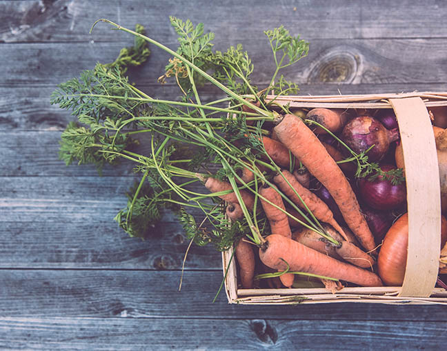 Carrots 648×509